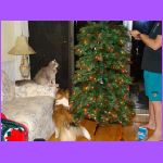 Belle and Rascal.jpg